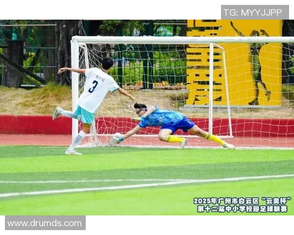 足球比赛的激情与足球明星的风采交织成的精彩画卷